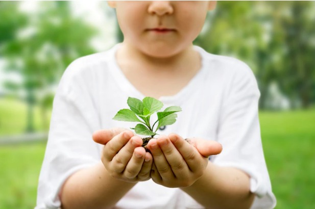 Imagem principal do post.